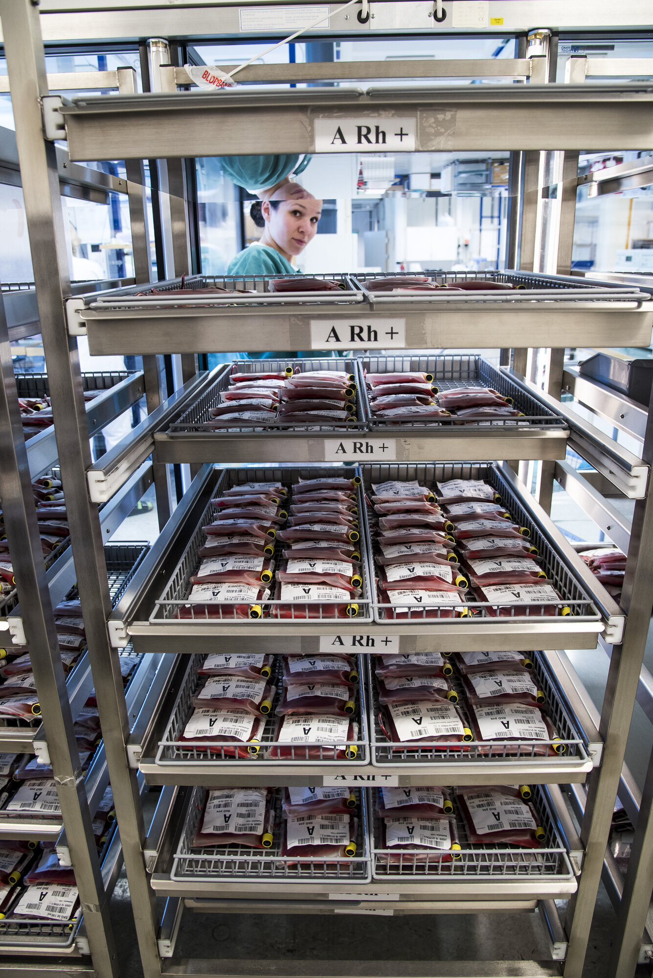 erytrocyttkonsentrat, frigitt Bildet viser traller med ferdige erytrocyttkonsentrater.