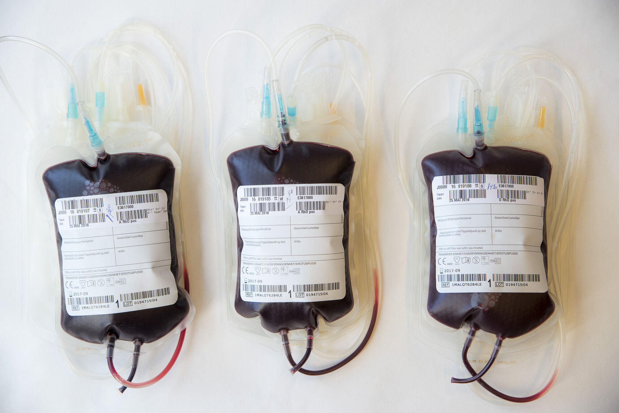 blodposer, transfusjon Bildet viser tre blodposer.