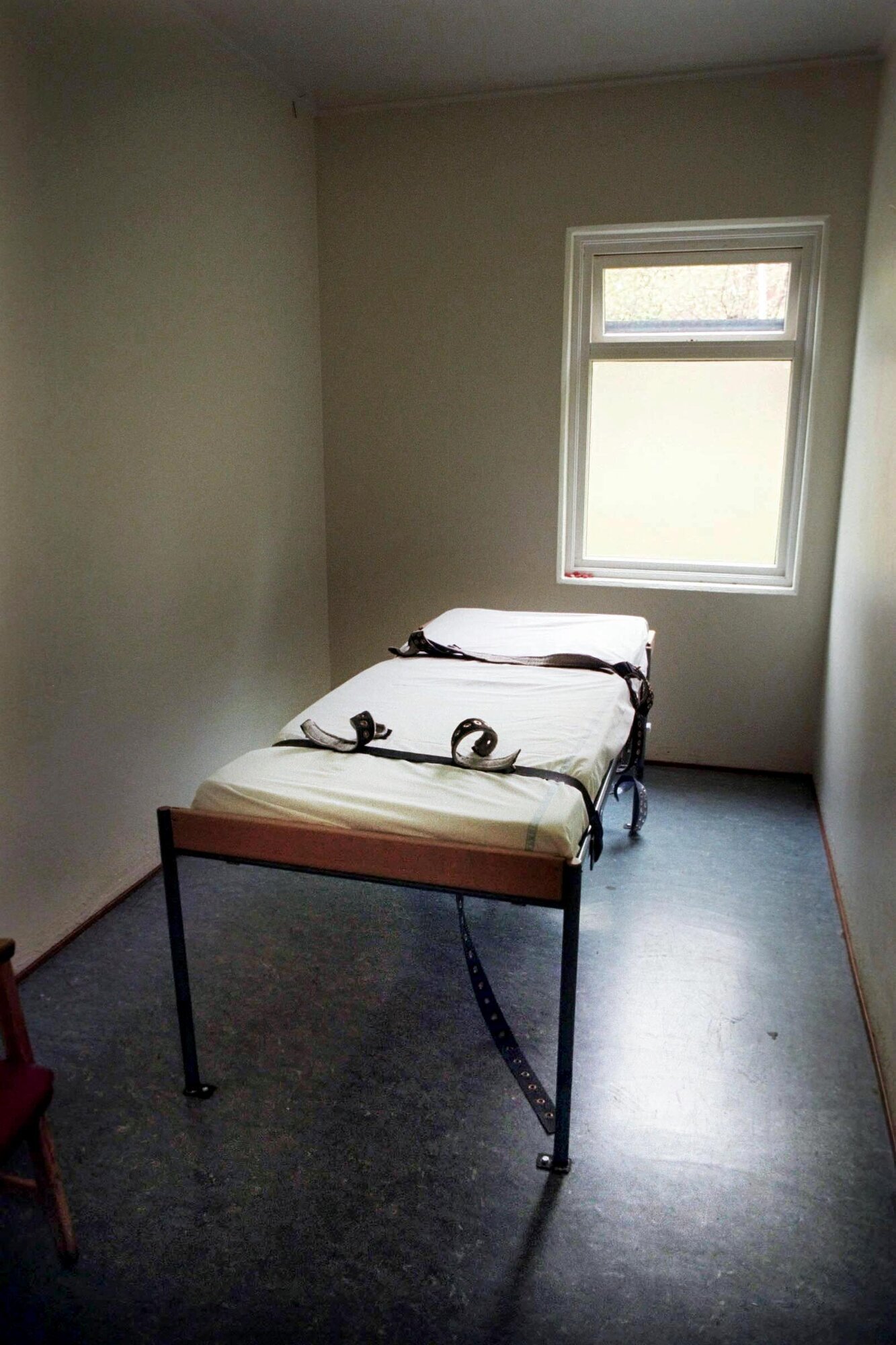 Belteseng Bilde av belteseng