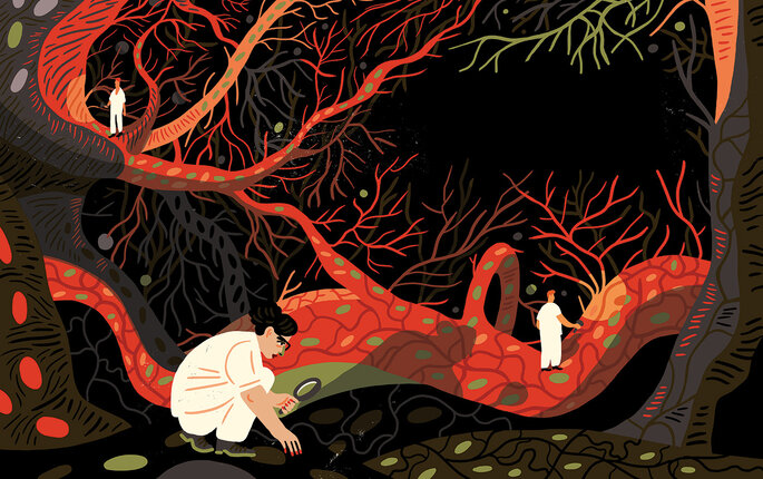 Sykepleiere som går på jakt inni kroppen. Illustrasjonen viser sykepleiere som går på jakt inni kroppen.