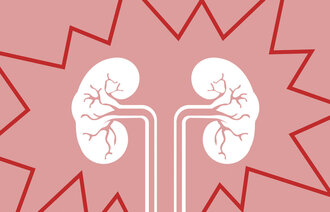 Bildet viser en illustrasjon av to nyrer